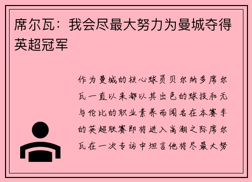 席尔瓦：我会尽最大努力为曼城夺得英超冠军