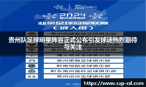 贵州队足球明星阵容正式公布引发球迷热烈期待与关注